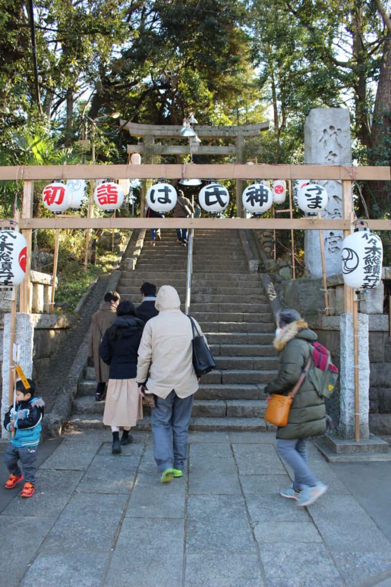 代々木八幡宮　アナロジコ　初詣