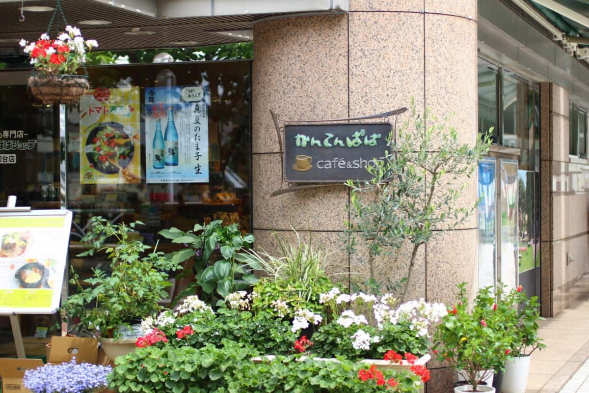 かんてんぱぱ　初台
