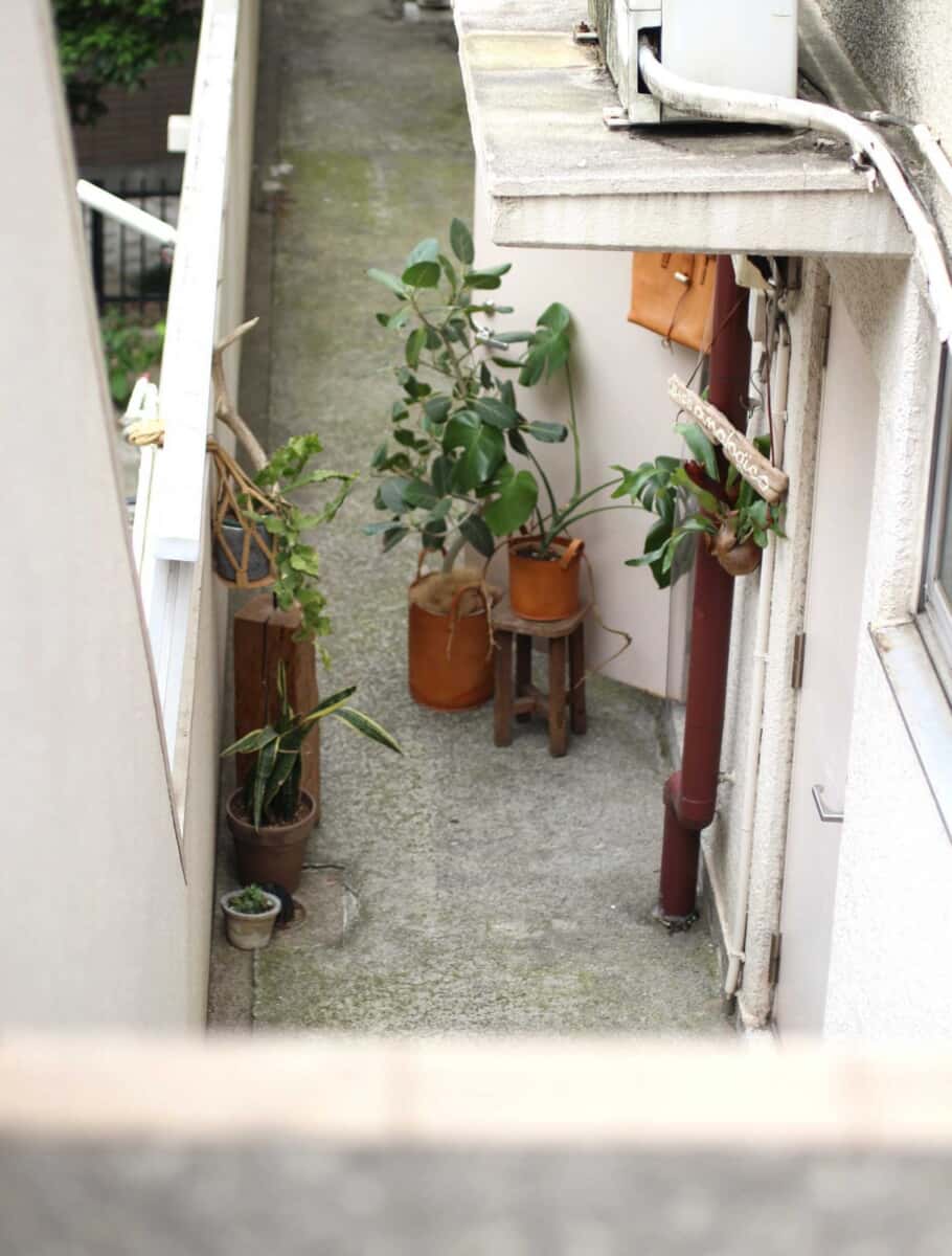 アナロジコ　入り口